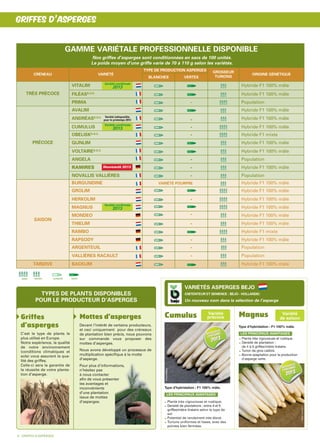 TYPES DE PLANTS DISPONIBLES
POUR LE PRODUCTEUR D’ASPERGES
Griffes
d’asperges
C’est le type de plants le
plus utilisé en Europe.
Notre expérience, la qualité
de notre environnement
(conditions climatiques et
sols) vous assurent la qua-
lité des griffes.
Celle-ci sera la garantie de
la réussite de votre planta-
tion d’asperge.
Mottes d’asperges
Devant l’intérêt de certains producteurs,
et ceci uniquement pour des créneaux
de plantation bien précis, nous pouvons
sur commande vous proposer des
mottes d’asperges.
Nous avons développé un processus de
multiplication spécifique à la motte
d’asperge.
Pour plus d’informations,
n’hésitez pas
à nous contacter
afin de vous présenter
les avantages et
inconvénients
d’une plantation
issue de mottes
d’asperges.
8 - GRIFFES D’ASPERGES
CRÉNEAU VARIÉTÉ
TYPE DE PRODUCTION ASPERGES GROSSEUR
TURIONS
ORIGINE GÉNÉTIQUE
BLANCHES VERTES
TRÈS PRÉCOCE
VITALIM Hybride F1 100% mâle
FILÉASS.O.C. Hybride F1 100% mâle
PRIMA - Population
PRÉCOCE
AVALIM Hybride F1 100% mâle
ANDRÉASS.O.C
- Hybride F1 100% mâle
CUMULUS - Hybride F1 100% mâle
OBELISKS.O.C.
- Hybride F1 mixte
GIJNLIM Hybride F1 100% mâle
VOLTAIRES.O.C. Hybride F1 100% mâle
ANGELA - Population
RAMIRES - Hybride F1 100% mâle
NOVALLIS VALLIÈRES - Population
SAISON
BURGUNDINE VARIÉTÉ POURPRE Hybride F1 100% mâle
GROLIM Hybride F1 100% mâle
HERKOLIM - Hybride F1 100% mâle
MAGNUS Hybride F1 100% mâle
MONDEO - Hybride F1 100% mâle
THIELIM - Hybride F1 100% mâle
RAMBO Hybride F1 mixte
RAPSODY - Hybride F1 100% mâle
ARGENTEUIL - Population
VALLIÈRES RACAULT - Population
TARDIVE BACKLIM Hybride F1 100% mâle
GROS MOYEN BLANCHE VERTE
Nos griffes d’asperges sont conditionnées en sacs de 100 unités.
Le poids moyen d’une griffe varie de 70 à 110 g selon les variétés.
GAMME VARIÉTALE PROFESSIONNELLE DISPONIBLE
GRIFFES D’ASPERGES
Cumulus Variété
précoce
Type d’hybridation : F1 100% mâle.
Plante très vigoureuse et rustique.
Densité de plantations : entre 4 et 5
griffes/mètre linéaire selon le type de
sol
Potentiel de rendement très élevé.
Turions uniformes et lisses, avec des
pointes bien fermées.
LES PRINCIPAUX AVANTAGES
VARIÉTÉS ASPERGES BEJO
(OBTENTEUR ET SEMENCE : BEJO - HOLLANDE)
Un nouveau nom dans la sélection de l’asperge
Variété indisponible
pour le printemps 2013
Variété confirmée
2013
Variété confirmée
2013
Nouveauté
2013
Nouveauté
2013
Nouveauté
2013
Nouveauté
2013
Nouveauté
confirmée
2013
Nouveauté
confirmée
2013
Nouveauté
confirmée
2013
Nouveauté
confirmée
2013
Nouveauté
2013Nouveauté
2013
Nouveauté 2013
Magnus
Type d’hybridation : F1 100% mâle.
Plante très vigoureuse et rustique.
Densité de plantation :
de 4 à 6 griffes/métre linéaire.
Turion de gros calibre.
Bonne adaptation pour la production
d’asperge verte.
LES PRINCIPAUX AVANTAGES
©BejoZadenB.V.
Variété
de saison
Photo©Béjo
Variété confirmée
2013
Nouveauté
2013
Nouveauté
2013
Nouveauté
2013
Nouveauté
2013
Nouveauté
confirmée
2013
Nouveauté
confirmée
2013
Nouveauté
confirmée
2013
Nouveauté
confirmée
2013
Nouveauté
2013Nouveauté
2013
ANGIER cata 2013:Mise en page 1 8/11/12 17:12 Page 8
 