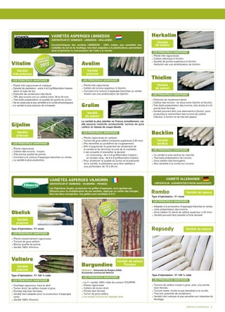 VARIÉTÉ ALLEMANDE
(OBTENTEUR : SÜDWESTDEUTSCHE SAATZUCHT)
Type d’hybridation : F1 mixte
Adaptée à la production d’asperges blanches et vertes.
Jolie présentation des turions.
Gros calibre (% élevé de calibre supérieur à 22 mm).
Variété pouvant être plantée à forte densité.
LES PRINCIPAUX AVANTAGES
Type d’hybridation : F1 100 % mâle
Turions de calibre moyen à gros, avec une pointe
bien fermée.
Turions lisses, droits et pas sensibles à la rouille.
Très bon potentiel de rendement.
Variété très rustique et pas sensible aux maladies de
feuillage.
LES PRINCIPAUX AVANTAGES
Variété de saisonRambo
Rapsody
Avalim
Variété
précoce
Vitalim
Variété
très précoce
Gijnlim
Variété
précoce
Grolim
Variété
de saison
Thielim
Variété
de saison
Backlim
Variété
tardive
Herkolim
Variété
de saison
VARIÉTÉS ASPERGES LIMSEEDS
(OBTENTEUR ET SEMENCE : LIMSEEDS - HOLLANDE)
Potentiel de rendement élevé.
Calibre des turions : se situe entre Gijnlim et Grolim.
Très belle présentation des turions, très droits et à la
pointe bien fermée.
Variété pouvant être une alternative à Grolim, pour
producteurs recherchant des turions de calibre
inférieur à Grolim et de très bel aspect.
LES PRINCIPAUX AVANTAGES
Plante très vigoureuse.
Calibre identique à Grolim.
Qualité de pointe supérieure à Grolim.
Herkolim est une amélioration de Grolim.
LES PRINCIPAUX AVANTAGES
Plante très vigoureuse.
Calibre de turions supérieur à Gijnlim.
Convient à la culture d’asperges blanches ou vertes.
Avalim est une amélioration de Gijnlim.
LES PRINCIPAUX AVANTAGES
Plante vigoureuse.
Calibre des turions : moyen.
Très bonne qualité de pointe.
Convient à la culture d’asperges blanches ou vertes.
La variété la plus productive.
LES PRINCIPAUX AVANTAGES
La variété la plus plantée en France actuellement, car
elle associe rusticité, productivité, turions de gros
calibre et vitesse de coupe élevée.
Plante vigoureuse et rustique.
Turions de gros calibre (moyenne supérieure à 20 mm).
Peu sensibles au problème de rougissement.
Afin d’augmenter le potentiel de rendement de
la variété et de diminuer le coût de la cueillette,
il est conseillé d’intensifier la densité :
- en monorang : de 4 à 6 griffes/mètre linéaire ;
- en double rang : de 6 à 8 griffes/mètre linéaire.
Pour améliorer la qualité du turion et la précocité
de la variété, la plantation peut être réalisée à
une profondeur de 15 à 20 cm.
LES PRINCIPAUX AVANTAGES
Plante très vigoureuse et rustique.
Densité de plantation : entre 4 et 5 griffes/mètre linéaire
selon le type de sol.
Potentiel de rendement très élevé.
70% des turions ont un calibre entre 16 et 24 mm.
Très belle présentation et qualité de pointe du turion.
Ne se casse pas et peu sensible à la rouille physiologique.
La variété la plus précoce de Limseeds.
LES PRINCIPAUX AVANTAGES
Caractéristiques des variétés LIMSEEDS : 100% mâles, peu sensibles aux
maladies du sol et du feuillage, très bien adaptées à la plasticulture, permettant
ainsi d’optimiser la mécanisation de l’aide à la récolte.
Voltaire
Variété
précoce
Obelisk
Variété
précoce
VARIÉTÉS ASPERGES VILMORIN
(OBTENTEUR ET SEMENCE : VILMORIN – FRANCE)
Les Pépinières Angier, producteur de griffes d’asperges, sont agréées par
Vilmorin pour la multiplication de ces variétés, régie par un cahier des charges
liant les deux entreprises. Ces griffes sont certifiées S.O.C.
Type d’hybridation : F1 100 % mâle
Feuillage vigoureux, haut et aéré.
Turion droit, de calibre moyen à gros.
Pointes très bien fermées.
Variété bien adaptée pour la production d’asperges
verte.
Variété 100% Vilmorin.
LES PRINCIPAUX AVANTAGES
Burgundine
Obtention : Université de Rutgers (USA)
Exclusivité commercial Vilmorin
La 1re variété 100% mâle de couleur POURPRE
Plante vigoureuse
Calibre de turion droit
Pointe bien fermée
Turion de gros calibre
Se conduit comme de l’asperge verte
LES PRINCIPAUX AVANTAGES
Type d’hybridation : F1 mixte
Plante moyennement vigoureuse.
Turions de gros calibre.
Bonne qualité de pointe.
Variété 100% Vilmorin.
LES PRINCIPAUX AVANTAGES
GRIFFES D’ASPERGES - 9 0
Variété de saison
Variété de saison
Pourpre
Photos©LinseedsB.V.
La variété la plus tardive du marché.
Très belle présentation de turions.
Gros calibre très homogène.
Non sensible à la rouille sur turions.
LES PRINCIPAUX AVANTAGES
Nouveauté
2013
Nouveauté
2013
Nouveauté
2013
Nouveauté
2013
Nouveauté
confirmée
2013
ouveauté
confirmée
2013
Nouveauté
confirmée
2013
Nouveauté
confirmée
2013
Nouveauté
2013Nouveauté
2013
Nouveauté
2013
Nouveauté
2013
Nouveauté
2013
Nouveauté
2013
Nouveauté
confirmée
2013
Nouveauté
confirmée
2013
Nouveauté
confirmée
2013
Nouveauté
confirmée
2013
Nouveauté
2013Nouveauté
2013
ANGIER cata 2013:Mise en page 1 8/11/12 17:12 Page 9
 