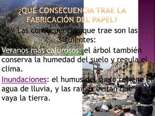 Las consecuencias que trae son las
siguientes:
Veranos más calurosos: el árbol también
conserva la humedad del suelo y regula el
clima.
Inundaciones: el humus del suelo retiene el
agua de lluvia, y las raíces evitan que se
vaya la tierra.