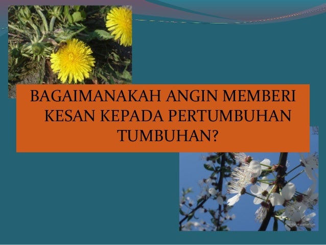 tenaga angin di malaysia