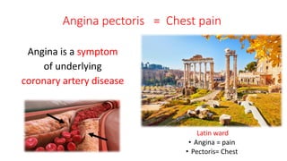 Angina pectoris | PDF