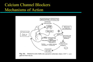 Angina pectoris management and future of therapy | PPT