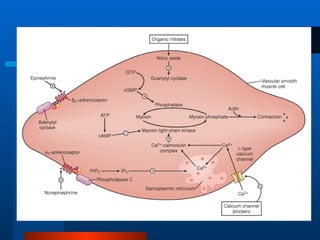 Angina and Myocardial Infarction Pharmacology.ppt