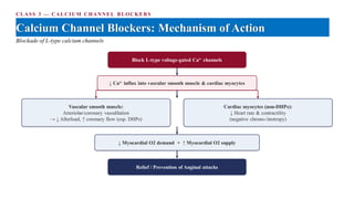 CLASS 3 — CALCIUM CHANNEL BLOCKERS
Calcium Channel Blockers: Mechanism of Action
Blockade of L-type calcium channels
Block L-type voltage-gated Ca²⁺ channels
↓ Ca²⁺ influx into vascular smooth muscle & cardiac myocytes
Vascular smooth muscle:
Arteriolar/coronary vasodilation
→ ↓ Afterload, ↑ coronary flow (esp. DHPs)
Cardiac myocytes (non-DHPs):
↓ Heart rate & contractility
(negative chrono-/inotropy)
↓ Myocardial O2 demand + ↑ Myocardial O2 supply
Relief / Prevention of Anginal attacks
 