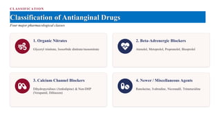 CLASSIFICATIO N
Classification of Antianginal Drugs
Four major pharmacological classes
1. Organic Nitrates
Glyceryl trinitrate, Isosorbide dinitrate/mononitrate
2. Beta-Adrenergic Blockers
Atenolol, Metoprolol, Propranolol, Bisoprolol
3. Calcium Channel Blockers
Dihydropyridines (Amlodipine) & Non-DHP
(Verapamil, Diltiazem)
4. Newer / Miscellaneous Agents
Ranolazine, Ivabradine, Nicorandil, Trimetazidine
 