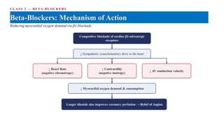 CLASS 2 — BETA-BLOCKER S
Beta-Blockers: Mechanism of Action
Reducing myocardial oxygen demand via β1-blockade
Competitive blockade of cardiac β1-adrenergic
receptors
↓ Sympathetic (catecholamine) drive to the heart
↓ Heart Rate
(negative chronotropy)
↓ Contractility
(negative inotropy)
↓ AV conduction velocity
↓ Myocardial oxygen demand & consumption
Longer diastole also improves coronary perfusion → Relief of Angina
 