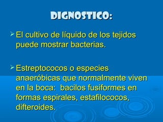 DDIIGGNNOOSSTTIICCOO:: 
EEll ccuullttiivvoo ddee llííqquuiiddoo ddee llooss tteejjiiddooss 
ppuueeddee mmoossttrraarr bbaacctteerriiaass.. 
EEssttrreeppttooccooccooss oo eessppeecciieess 
aannaaeerróóbbiiccaass qquuee nnoorrmmaallmmeennttee vviivveenn 
eenn llaa bbooccaa:: bbaacciillooss ffuussiiffoorrmmeess eenn 
ffoorrmmaass eessppiirraalleess,, eessttaaffiillooccooccooss,, 
ddiifftteerrooiiddeess.. 
 