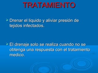 TTRRAATTAAMMIIEENNTTOO 
 DDrreennaarr eell lliiqquuiiddoo yy aalliivviiaarr pprreessiióónn ddee 
tteejjiiddooss iinnffeeccttaaddooss.. 
 EEll ddrreennaajjee ssoolloo ssee rreeaalliizzaa ccuuaannddoo nnoo ssee 
oobbtteennggaa uunnaa rreessppuueessttaa ccoonn eell ttrraattaammiieennttoo 
mmeeddiiccoo.. 
 