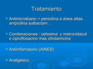 TTrraattaammiieennttoo 
 AAnnttiimmiiccrroobbiiaannoo == ppeenniicciilliinnaa aa ddoossiiss aallttaass,, 
aammppiicciilliinnaa ssuullbbaaccttaamm .. 
 CCoommbbiinnaacciioonneess :: cceeffaaxxiimmaa yy mmeettrroonniiddaazzooll 
oo cciipprrooffllooxxaacciinnoo mmaass cclliinnddaammiicciinnaa 
 AAnnttiiiinnffllaammaattoorriioo ((AAIINNEESS)) 
 AAnnaallggééssiiccoo 
 