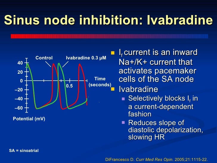 Ivabradine mechanism of action