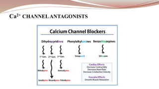 Ca2+ CHANNELANTAGONISTS
 