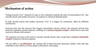 Voltage-sensitive Ca2+ channels (L-type or slow channels) mediate the entry of extracellular Ca2+ into
smooth muscle and cardiac myocytes in response to electrical depolarization.
In both smooth muscle and cardiac myocytes, Ca2+ is a trigger for contraction, albeit by different
mechanisms
Calcium entry into the myocyte first triggers intracellular calcium release; the released calcium then
binds the regulatory protein troponin, resulting in a calcium-troponin complex which allows actin and
myosin to interact and contract.
The sequence of events is the same in vascular smooth muscle cells, except that a calcium-calmodulin
complex instead of calcium-troponin.
The net effect is vasodilatation; the ensuing fall in blood pressure decreases cardiac work and may
contribute to the efficacy of these drugs in the patient with angina.
Mechanism of action
 