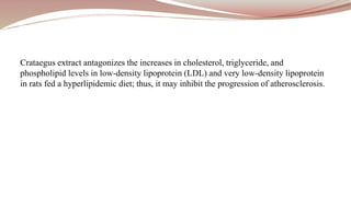 Crataegus extract antagonizes the increases in cholesterol, triglyceride, and
phospholipid levels in low-density lipoprotein (LDL) and very low-density lipoprotein
in rats fed a hyperlipidemic diet; thus, it may inhibit the progression of atherosclerosis.
 