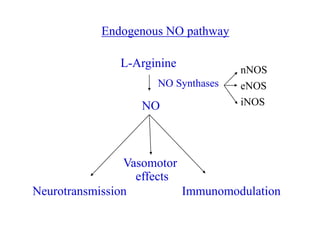 L-Arginine
NO
NO Synthases
Neurotransmission
Vasomotor
effects
Immunomodulation
Endogenous NO pathway
nNOS
eNOS
iNOS
 