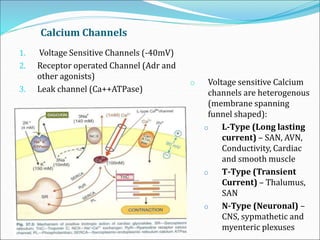 Calcium Channels
1. Voltage Sensitive Channels (-40mV)
2. Receptor operated Channel (Adr and
other agonists)
3. Leak channel (Ca++ATPase)
o Voltage sensitive Calcium
channels are heterogenous
(membrane spanning
funnel shaped):
o L-Type (Long lasting
current) – SAN, AVN,
Conductivity, Cardiac
and smooth muscle
o T-Type (Transient
Current) – Thalumus,
SAN
o N-Type (Neuronal) –
CNS, sypmathetic and
myenteric plexuses
 