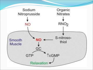 Actions of Nitrates - GTN
1. Preload reduction:
 Dilatation of veins more than arteries – peripheral pooling of Blood –
d...