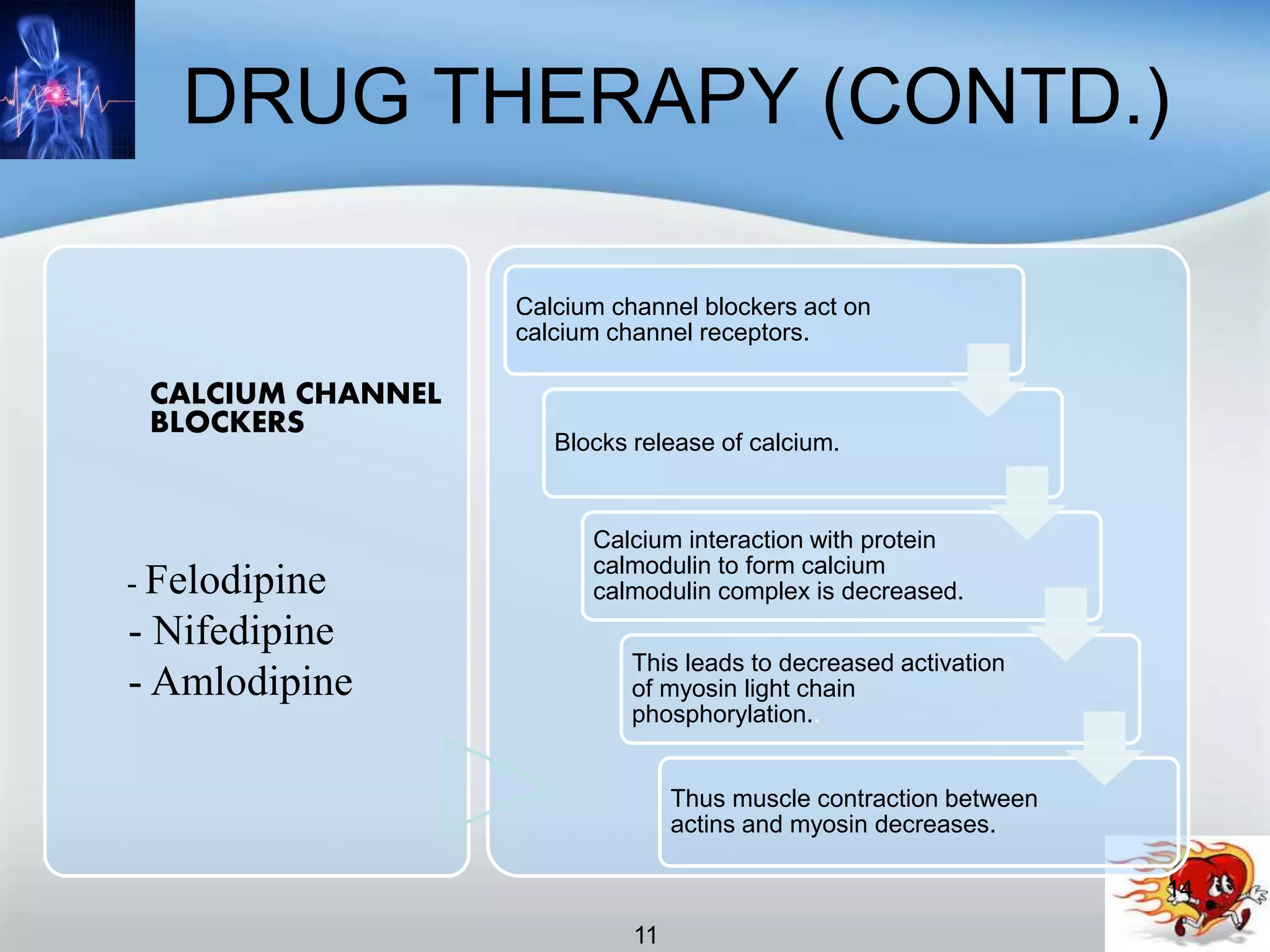 DRUG THERAPY (CONTD.)
CALCIUM CHANNEL
BLOCKERS
- Felodipine
- Nifedipine
- Amlodipine
Calcium channel blockers act on
calcium channel receptors.
Blocks release of calcium.
Calcium interaction with protein
calmodulin to form calcium
calmodulin complex is decreased.
This leads to decreased activation
of myosin light chain
phosphorylation..
Thus muscle contraction between
actins and myosin decreases.
14
11
 