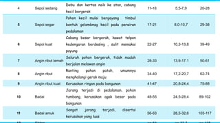 4 Sepoi sedang
Debu dan kertas naik ke atas, cabang
kecil bergerak
11-16 5,5-7,9 20-28
5 Sepoi segar
Pohon kecil mulai bergoyang timbul
bentuk gelombnag kecil pada perairan
pedalaman
17-21 8,0-10,7 29-38
6 Sepoi kuat
Cabang besar bergerak, kawat telpon
kedengaran berdesing , sulit memakai
payung
22-27 10,3-13,8 39-49
7 Angin ribut lemah
Seluruh pohon bergerak, tidak mudah
berjalan melawan angin
28-33 13,9-17.1 50-61
8 Angin ribut
Ranting pohon patah, umumnya
menghalangi gerak maju
34-40 17,2-20,7 62-74
9 Angin ribut kuat Kerusakan ringan pada bangunan 41-47 20,8-24,4 75-88
10 Badai
Jarang terjadi di pedalaman, pohon
tumbang, kerusakan agak besar pada
bangunan
48-55 24,5-28,4 89-102
11 Badai amuk
Sangat jarang terjadi, disertai
kerusakan yang luas
56-63 28,5-32,6 103-117
 