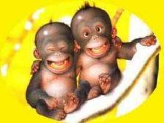 Sekian persentasi dari kami
Atas perhatiannya
Kami ucapkan terima kasih
 