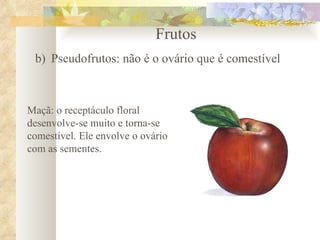 Frutos Pseudofrutos: não é o ovário que é comestível Maçã: o receptáculo floral desenvolve-se muito e torna-se comestível. Ele envolve o ovário com as sementes. 