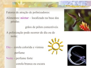 Fatores de atração de polinizadores: Alimentos:  néctar  – localizado na base das pétalas grãos de pólen comestíveis A polinização pode ocorrer de dia ou de noite: Dia  -  corola colorida e vistosa perfume Noite  – perfume forte corola branca ou escura 