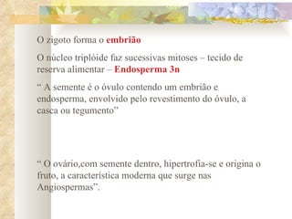 O zigoto forma o  embrião O núcleo triplóide faz sucessivas mitoses – tecido de reserva alimentar –  Endosperma 3n “  A semente é o óvulo contendo um embrião e endosperma, envolvido pelo revestimento do óvulo, a casca ou tegumento” “  O ovário,com semente dentro, hipertrofia-se e origina o fruto, a característica moderna que surge nas Angiospermas”.  