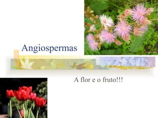 Angiospermas A flor e o fruto!!! 