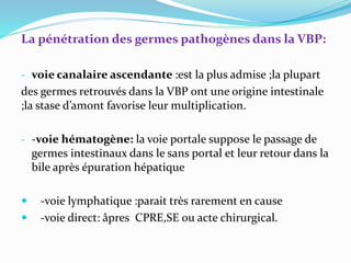 La pénétration des germes pathogènes dans la VBP:
- voie canalaire ascendante :est la plus admise ;la plupart
des germes retrouvés dans la VBP ont une origine intestinale
;la stase d’amont favorise leur multiplication.
- -voie hématogène: la voie portale suppose le passage de
germes intestinaux dans le sans portal et leur retour dans la
bile après épuration hépatique
 -voie lymphatique :parait très rarement en cause
 -voie direct: âpres CPRE,SE ou acte chirurgical.
 