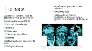 CLÍNICA
Depende el tamaño, fase de
desarrollo y vía de extensión :
obstrucción nasal (80 %)
Epistaxis abundantes
Rinolalia
Hipoacusia
Trastornos del olfato
Rinorrea
Deformación del septum y la
cara
Disfagia y disnea
exoftalmos por afectación
orbitaria
Oftalmoplejía
signos de afectación
endocraneal como cefalea y
déficits neurológicos (II, III, IV, V,
VI).
En el 20-25 % de los casos
existe invasión endocraneal.
 