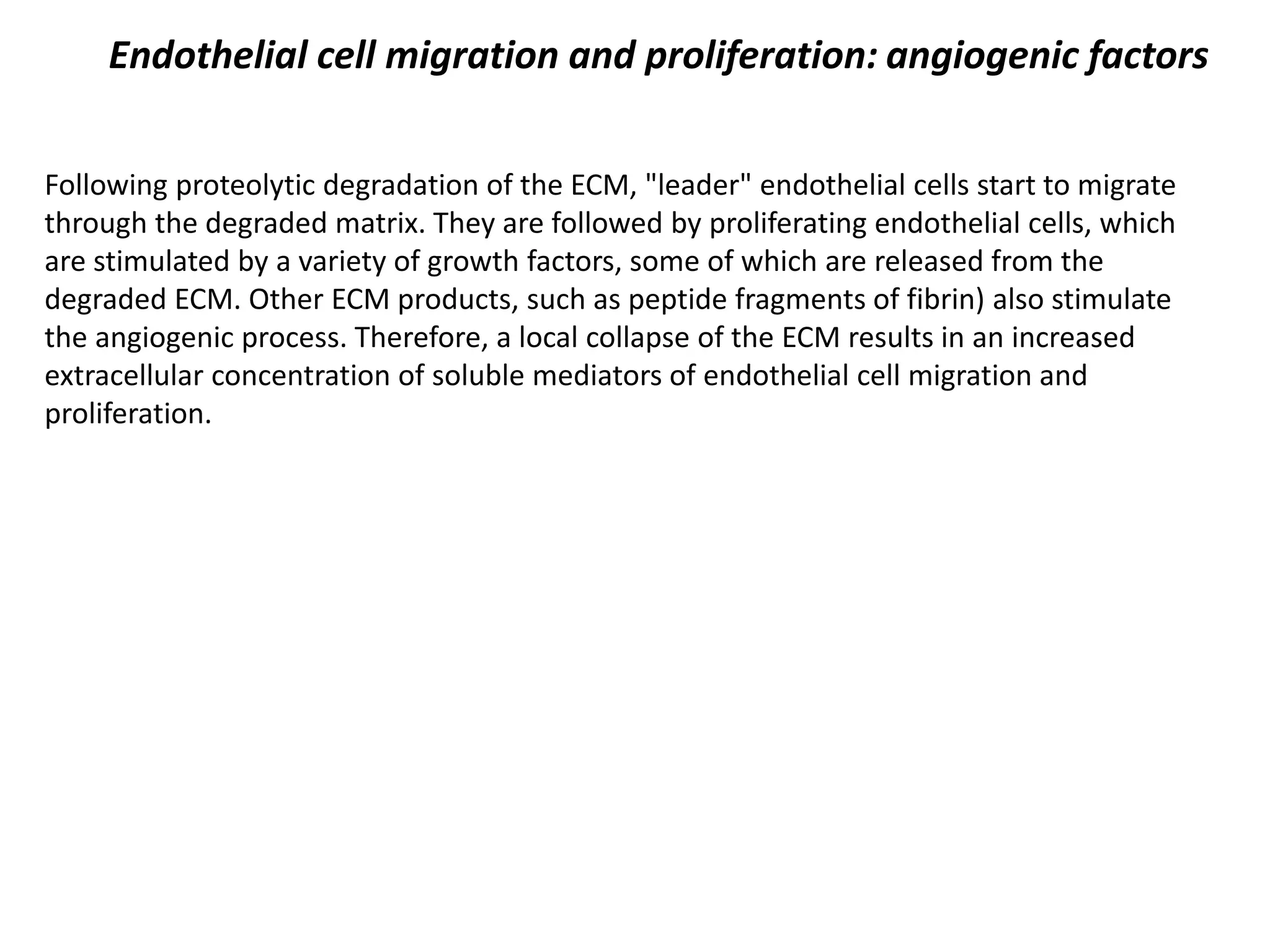 Endothelial cell migration and proliferation: angiogenic factors
Following proteolytic degradation of the ECM, "leader" endothelial cells start to migrate
through the degraded matrix. They are followed by proliferating endothelial cells, which
are stimulated by a variety of growth factors, some of which are released from the
degraded ECM. Other ECM products, such as peptide fragments of fibrin) also stimulate
the angiogenic process. Therefore, a local collapse of the ECM results in an increased
extracellular concentration of soluble mediators of endothelial cell migration and
proliferation.
 