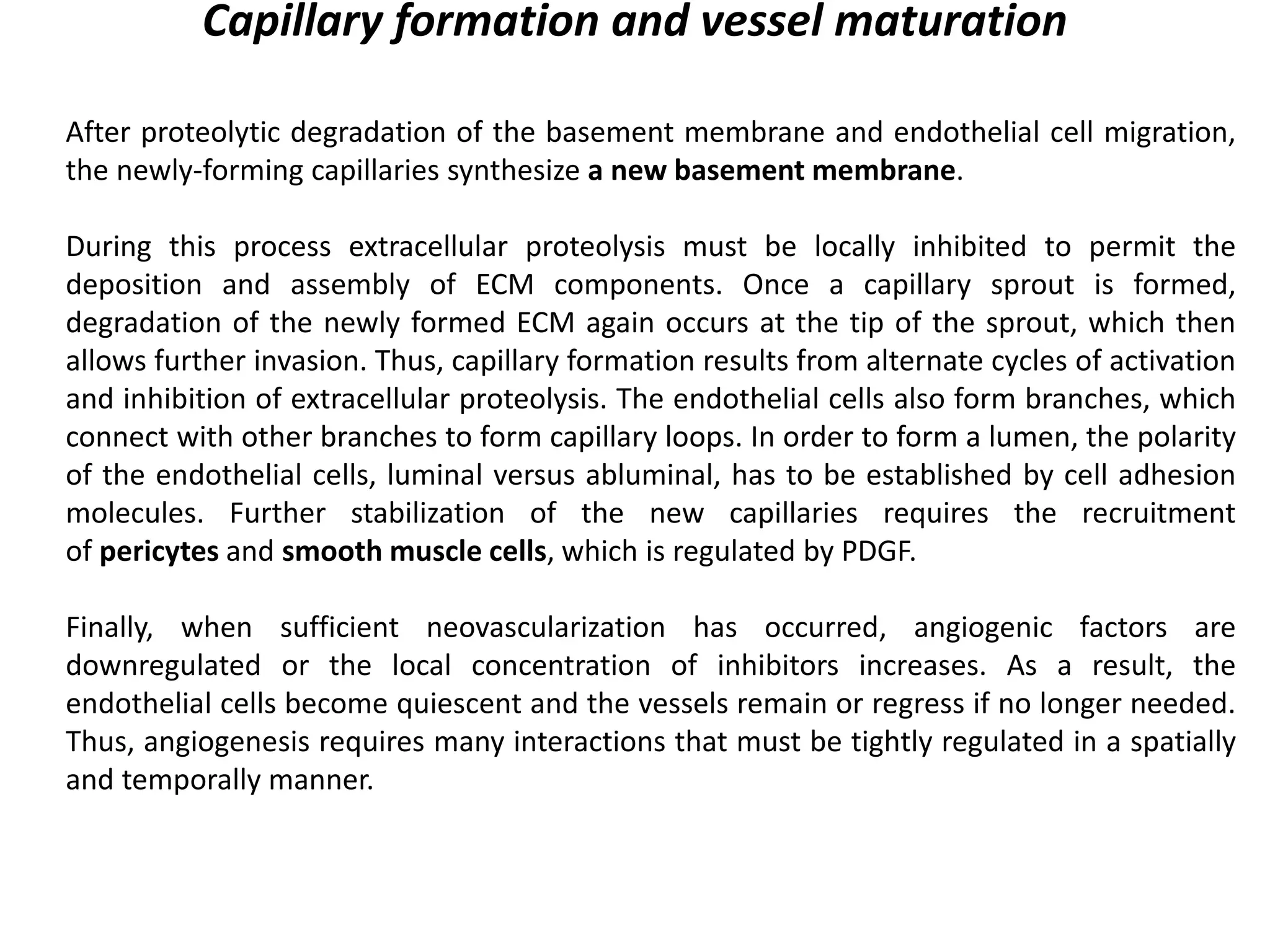 Capillary formation and vessel maturation
After proteolytic degradation of the basement membrane and endothelial cell migration,
the newly-forming capillaries synthesize a new basement membrane.
During this process extracellular proteolysis must be locally inhibited to permit the
deposition and assembly of ECM components. Once a capillary sprout is formed,
degradation of the newly formed ECM again occurs at the tip of the sprout, which then
allows further invasion. Thus, capillary formation results from alternate cycles of activation
and inhibition of extracellular proteolysis. The endothelial cells also form branches, which
connect with other branches to form capillary loops. In order to form a lumen, the polarity
of the endothelial cells, luminal versus abluminal, has to be established by cell adhesion
molecules. Further stabilization of the new capillaries requires the recruitment
of pericytes and smooth muscle cells, which is regulated by PDGF.
Finally, when sufficient neovascularization has occurred, angiogenic factors are
downregulated or the local concentration of inhibitors increases. As a result, the
endothelial cells become quiescent and the vessels remain or regress if no longer needed.
Thus, angiogenesis requires many interactions that must be tightly regulated in a spatially
and temporally manner.
 