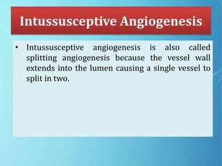Intussusceptive Angiogenesis
• Intussusceptive angiogenesis is also called
splitting angiogenesis because the vessel wall
extends into the lumen causing a single vessel to
split in two.
 