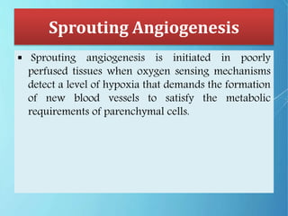 Sprouting Angiogenesis
 Sprouting angiogenesis is initiated in poorly
perfused tissues when oxygen sensing mechanisms
detect a level of hypoxia that demands the formation
of new blood vessels to satisfy the metabolic
requirements of parenchymal cells.
 