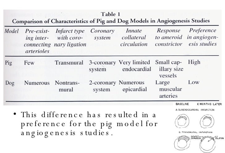 free Principles of Visual Attention: Linking Mind and