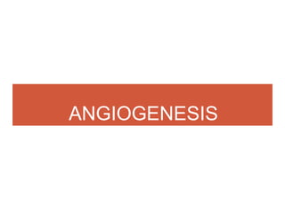 ANGIOGENESIS
 