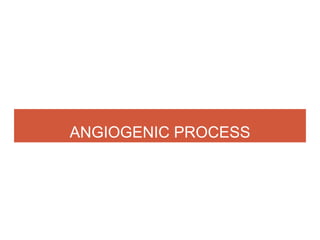 ANGIOGENIC PROCESS
 