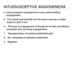 INTUSSUSCEPTIVE ANGIOGENESIS
➤ Intussusceptive angiogenesis is also called splitting
angiogenesis
➤ The vessel wall extends into the lumen causing a single
vessel to split in two
➤ . This type of angiogenesis is thought to be fast and efficient
compared with sprouting angiogenesis:
1. Reorganization of existing endothelial cells
2. No immediate endothelial proliferation
3. Migration
 