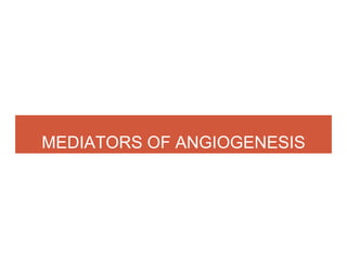 MEDIATORS OF ANGIOGENESIS
 
