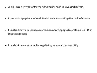 ➤ VEGF is a survival factor for endothelial cells in vivo and in vitro
➤ It prevents apoptosis of endothelial cells caused by the lack of serum .
➤ It is also known to induce expression of antiapoptotic proteins Bcl- 2 in
endothelial cells
➤ It is also known as a factor regulating vascular permeability.
 