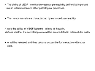 ➤ The ability of VEGF to enhance vascular permeability defines its important
role in inflammation and other pathological processes.
➤ The tumor vessels are characterized by enhanced permeability
➤ Also the ability of VEGF isoforms to bind to heparin,
defines whether the secreted protein will be accumulated in extracellular matrix
➤ or will be released and thus become accessible for interaction with other
cells.
 