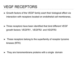 VEGF RECEPTORS
➤ Growth factors of the VEGF family exert their biological effect via
interaction with receptors located on endothelial cell membranes.
➤ Three receptors have been identified that bind different VEGF
growth factors: VEGFR1 , VEGFR2 and VEGFR3
➤ These receptors belong to the superfamily of receptor tyrosine
kinases (RTK)
➤ They are transmembrane proteins with a single domain
 