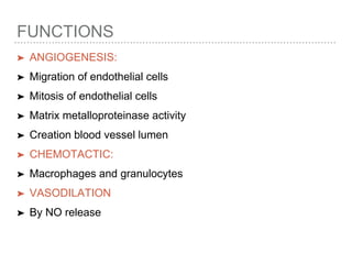 FUNCTIONS
➤ ANGIOGENESIS:
➤ Migration of endothelial cells
➤ Mitosis of endothelial cells
➤ Matrix metalloproteinase activity
➤ Creation blood vessel lumen
➤ CHEMOTACTIC:
➤ Macrophages and granulocytes
➤ VASODILATION
➤ By NO release
 