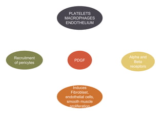 PDGF
PLATELETS
MACROPHAGES
ENDOTHELIUM
Recruitment
of pericytes
Alpha and
Beta
receptors
Induces
Fibroblast,
endothelial cells,
smooth muscle
proliferation
 