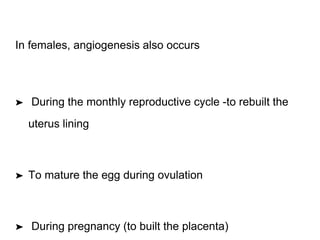 In females, angiogenesis also occurs
➤ During the monthly reproductive cycle -to rebuilt the
uterus lining
➤ To mature the egg during ovulation
➤ During pregnancy (to built the placenta)
 