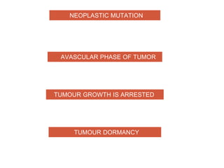 NEOPLASTIC MUTATION
AVASCULAR PHASE OF TUMOR
TUMOUR GROWTH IS ARRESTED
TUMOUR DORMANCY
 