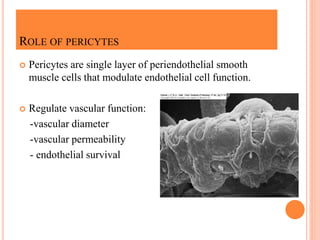 Angiogenesis in health and disease | PPTX