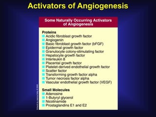 Activators of Angiogenesis
 