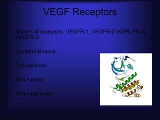 VEGF Receptors
• 3 types of receptors- VEGFR-1, VEGFR-2 (KDR, Flk-1),
  VEGFR-3

• Tyrosine kinases

• 316 residues

• 35% helical

• 15% beta sheet
 