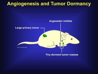 Angiogenesis and Tumor Dormancy


                          Angiostatin inhibits

  Large primary tumor




                        Tiny dormant tumor masses
 