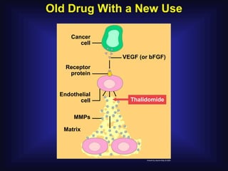 Old Drug With a New Use

      Cancer
         cell

                VEGF (or bFGF)
    Receptor
     protein


  Endothelial
         cell     Thalidomide


       MMPs

   Matrix
 
